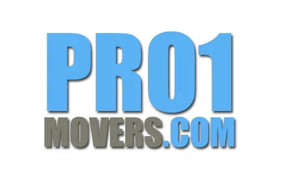 Pro 1 Movers photo 1