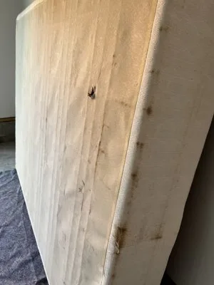 Lester Moving & Storage Co