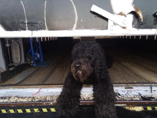 Marley's Movers Transport INC